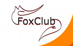 Сеть тренажерных залов Fox Club